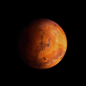 Meet your Posher, Jayden